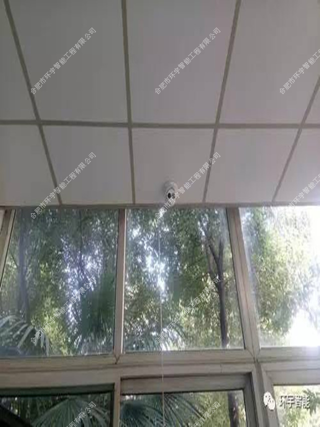 1733289265647197.png 圖片 2.png